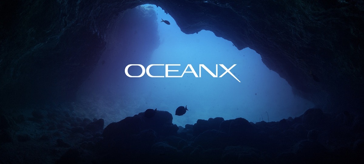 OceanX Simulator